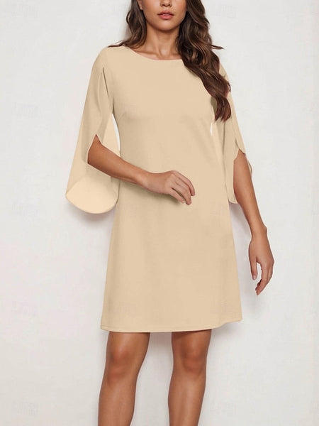 Women's Mini Dress Shift Dress Casual Daily Regular Fit FashionChic