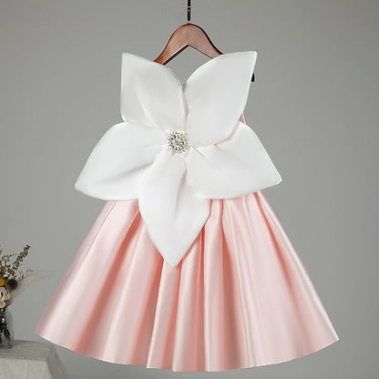 Princess Girl Flower Girls' Kid's Dress FashionChic