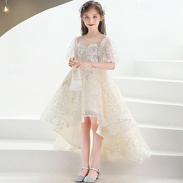 Flower Girl Kid's Girls' Princess Dress FashionChic