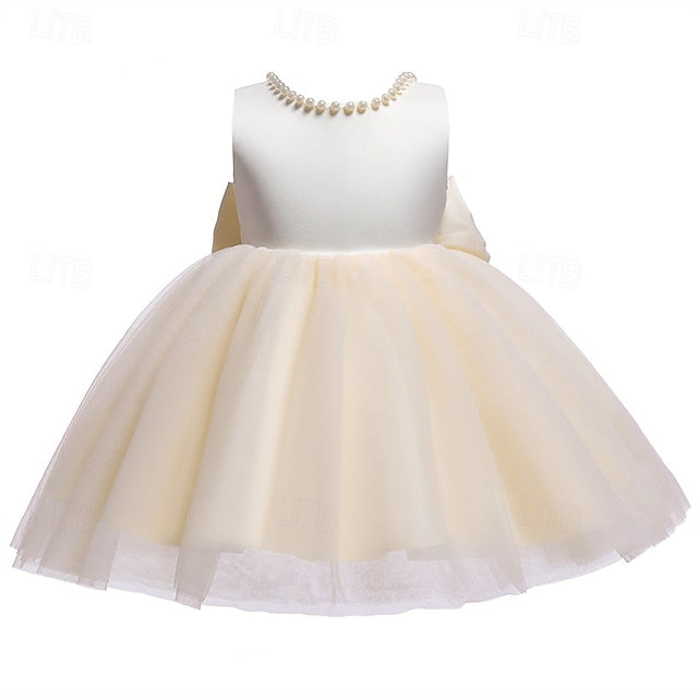 Flower Dress Girls' Kid's Girl Princess FashionChic