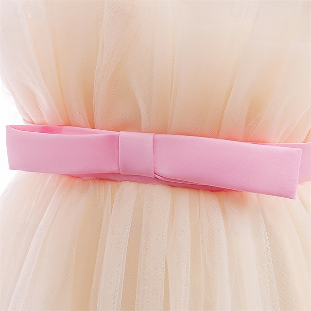 Flower Dress Girl Princess Kid's Girls' FashionChic