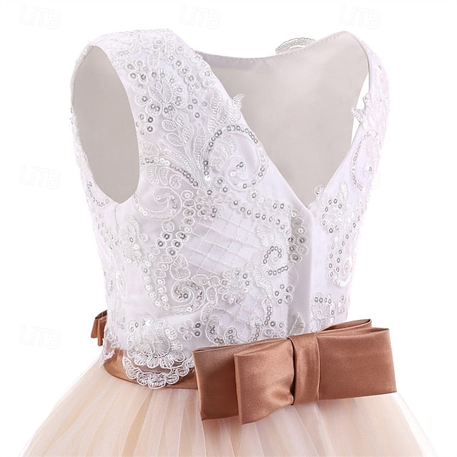 Princess Dress Kid's Girls' Girl Flower FashionChic