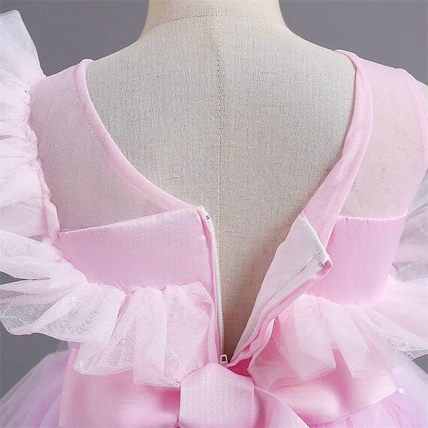 Princess Kid's Flower Girls' Dress Girl FashionChic