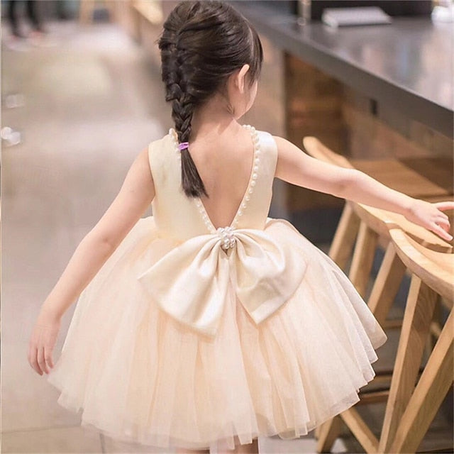 Flower Dress Girls' Kid's Girl Princess FashionChic