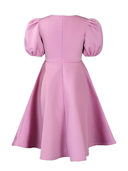 Women's Party Dress Homecoming Dress Cocktail Dress Ruched