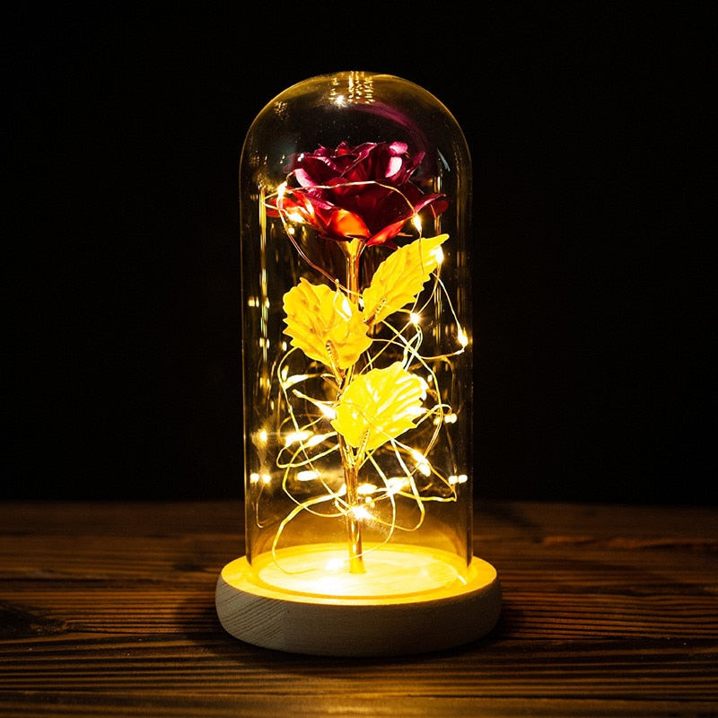 Rose LED Light In Glass - Furdela