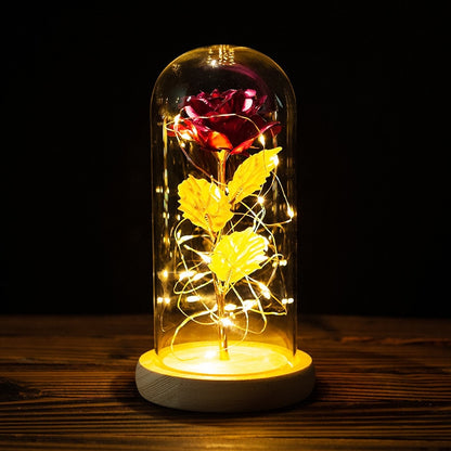 Rose LED Light In Glass - Furdela