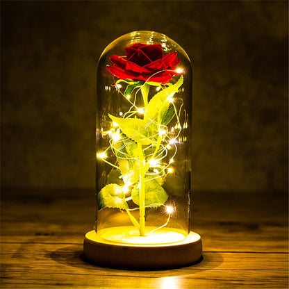 Rose LED Light In Glass - Furdela