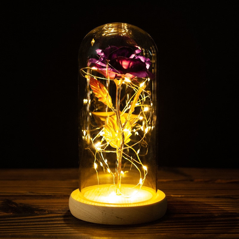 Rose LED Light In Glass - Furdela