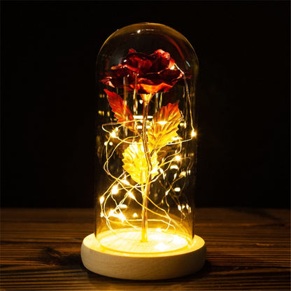 Rose LED Light In Glass - Furdela