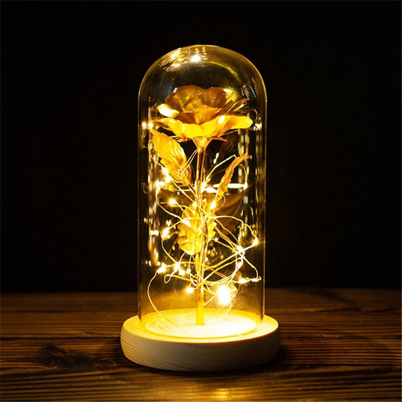 Rose LED Light In Glass - Furdela