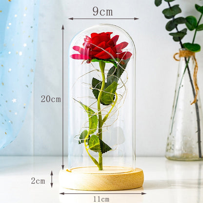 Rose LED Light In Glass - Furdela